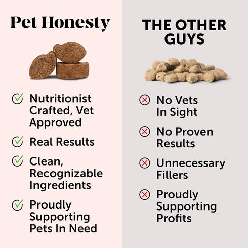 Pet Honesty Hemp Hip & Joint Supplement for Dogs, Glucosamine Chondroitin, Turmeric, Supports Mobility, Duck Flavor.