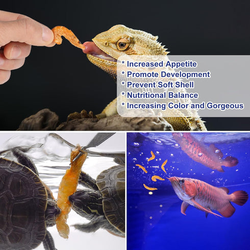 Amphibians(4oz) Freeze-Dried Krill Jumbo Shrimp - High Protein Natural Reptile Food for Turtles, Bearded Dragons
