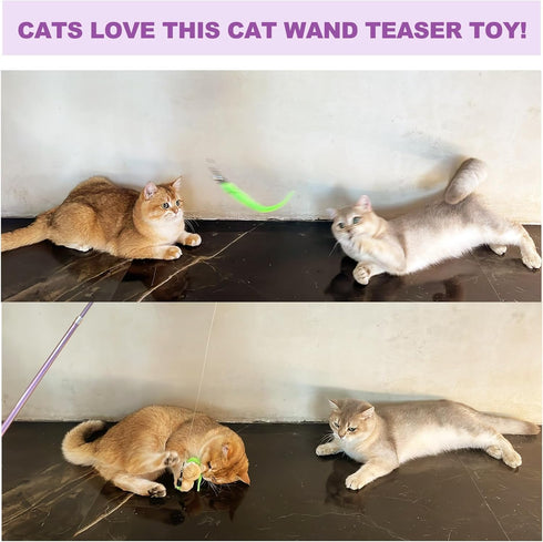 11PCS Cat Wand Toy, Interactive Toys for Indoor Cats, 2 Retractable Wands, 7 Worm Teaser Toys, 1 Plush Fish Toy, Extra