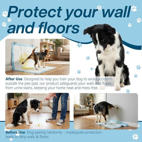 Ysoritha 15 (Clear-15 Puppy Potty Pad Wall Holder Clips, Pcs Dog Pee Pad Wall Holder Prevents Male Dog Leg-Lifting