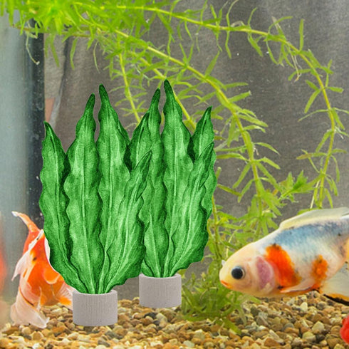 Aquarium Plants Fixed Ring, 12pcs Ceramic Weights for Floating Planting Holder, Fish Tank Decoration