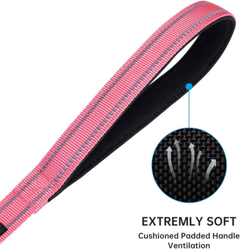 EXCELLENT ELITE SPANKER Strong Durable Nylon Dog Training Leash, 4 Feet Long, 1" Wide for Small Medium Dogs