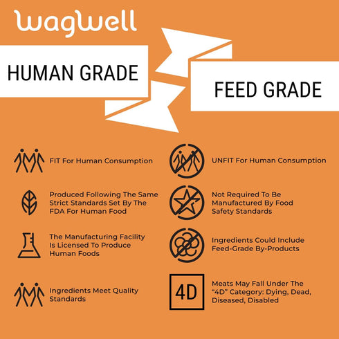 Freeze Dried Cheese Dog Treats - Grain-Free, High-Protein, Human-Grade, Made in The USA