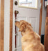 Leather Dog Doorbells for Door Knob, Adjustable Brass Potty Training Bells for Puppy to Go Outside, Easy Dog Door Bell