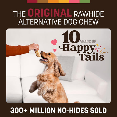 6 Count Earth Animal No Hide Chews - Long Lasting Rawhide Free Small Dog Chews Rolls, Beef