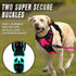 BARKBAY No Pull Dog Harness, Heavy Duty Reflective Front Clip with Easy Control Handle for Large Dogs (Pink, L)