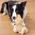 Large Dog Toys, Cute Squeaky Stuffed Animal Plush Toy for Puppies, Durable Chew Toy for All Breeds (Brown)