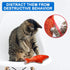 5Pcs Plush Catnip Fish Toy, Cat Chew Toy with Bell Inside for Interactive Kitty Chew Toys, Cat Teething Exercise