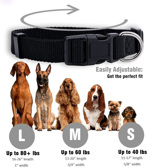 Native Pup Basic Nylon Dog Collar, Adjustable for Small, Medium, Large Pets & Puppies, Cute Colors (Large, Black)
