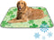 imiBBWQu Cooling Pad St Patrick Day Green Clovers Summer Cooling Mat Washable Summer