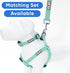 Pawtitas 6 FT Reflective Dog Leash - Comfortable Handle, Heavy Duty for Small Dogs, Teal