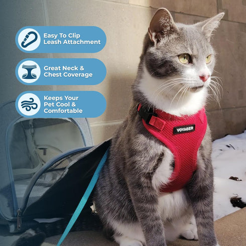 Voyager Step-in Lock Adjustable Cat Harness with 5ft Leash, Supports Small to Large Cats, Red, XXS