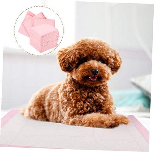 60x60cm 40 Yardwe Thickened PET Training Pads Large Pieces Water Absorbent Dog Diapers Leakproof Puppy Pads for Indoor