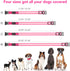 LED Dog Collar, Adjustable USB Rechargeable Light Up Collar, Super Bright Glowing Safety Collars for Dogs (Medium, Pink)