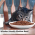 2 Pcs Cat Bowls, Wide & Shallow Cat Plates for Whiskey Fatigue Relief, 15cm/6’' Ceramic Cat Feeding Dishes Cute Fish Bone Design, Wet & Dry Food Feeding Bowls for Kittens, Cats, Puppies