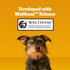 6 lb. (Pack 1) Pedigree Dry Dog Treats MarroBone, Real Beef Flavor, Bone Marrow Dog Treats, Bag
