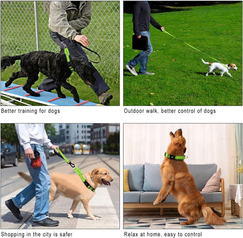 Plutus Pet Reflective Martingale Collar with Buckle, Durable Adjustable Training Collar for Small Medium Large Dogs,