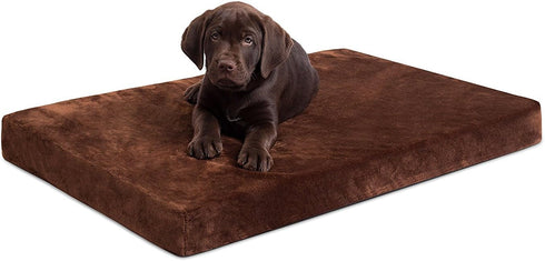 BIRDROCK HOME 3" Memory Dog Bed - Ultra Soft Plush Pet Mat (34 x 22, Brown)