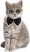 2 Pieces Pets Dog Cat Bowtie Tie Sunglasses, Adjustable Formal Necktie Collar for Cats Small Dogs (Black White)