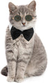 2 Pieces Pets Dog Cat Bowtie Tie Sunglasses, Adjustable Formal Necktie Collar for Cats Small Dogs (Black White)