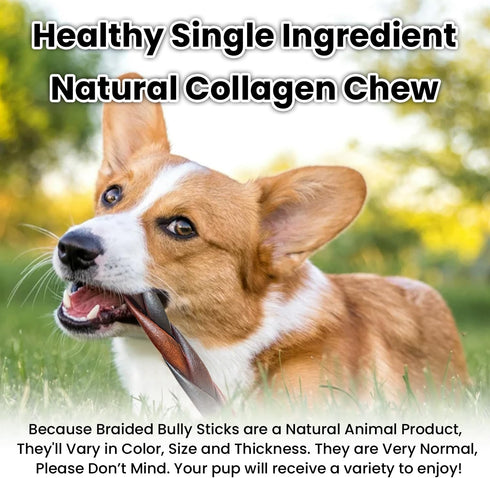 AZRAPAWS 5-6 Inch Braided Collagen Sticks for Medium & Large Dogs, Beef Collagen Dog Chews Long Lasting, Dog Treats