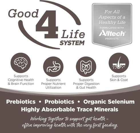 13 (Pack 12) NutriSource High Plains Select Grain Free Wet Dog Food, Beef, Pork, Lamb, and Venison, Ounce
