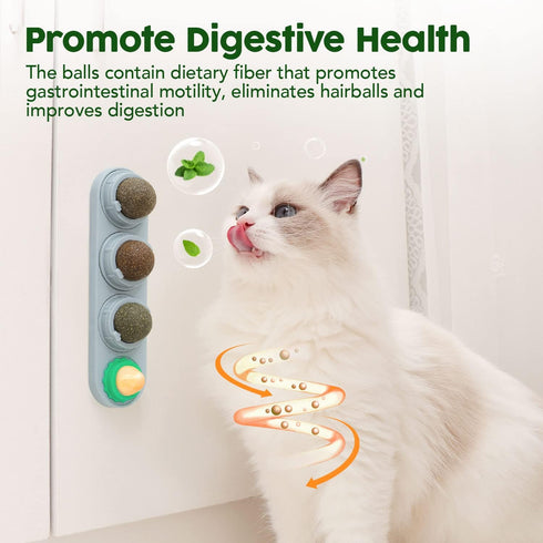 Potaroma 4 Catnip Silvervine Ball Toys for Cats, Edible Chew Balls for Dental Care and Energy