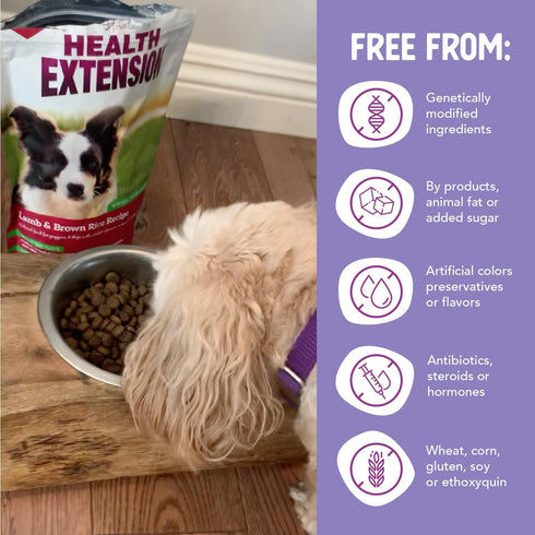 Health Extension Dry Dog Food - Natural Food for Puppies & Dogs with Added Vitamins, Lamb & Brown Rice Recipe (1 Lb)