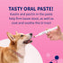 30 ml 10 Nutramax Proviable Probiotics for Dogs, Diarrhea Support Kit, Digestive Health Supplement with Multiple
