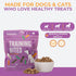 2.5 oz Momentum Carnivore Nutrition Freeze-Dried Pork Training Bites Two Ingredients-Pork Kidney and Heart, Grain-Free