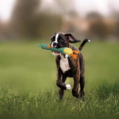 Nocciola 2 in 1 Duck Dog Toy with Large Rubber Squeaker, Durable Stuffed Chew Toys for Aggressive Chewers