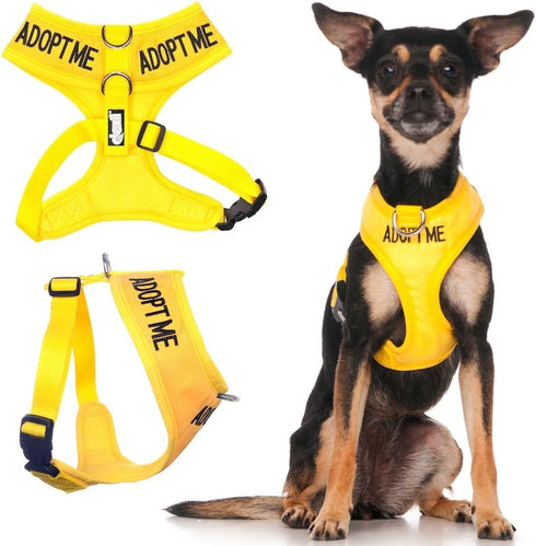 Dexil Limited Adopt ME Yellow Color Coded Non-Pull Dog Harness - Padded and Waterproof Vest - XS