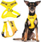 Dexil Limited Adopt ME Yellow Color Coded Non-Pull Dog Harness - Padded and Waterproof Vest - XS