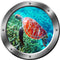 Sea Turtle Wall Decal Porthole - 3D Sticker Sea Life Wall Decor VWAQ-SP31, 14" Diameter