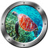 Sea Turtle Wall Decal Porthole - 3D Sticker Sea Life Wall Decor VWAQ-SP31, 14" Diameter