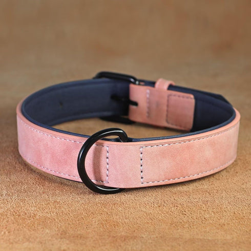 Didog Soft Padded Leather Dog Collar, Heavy Duty Adjustable Leather Collar with Rust-Proof Metal Buckle for Small