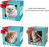 Faygeal Interaction Robotic Plush Cats Toy with Intelligence Sensors and Traction Rope for Craw Learning Lovely Comfort