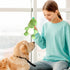 Nuytghr 8.66x12.99x14.57 inches, Squeaky Toys for Dogs, Tough Chewing Supplies for Puppies, Dinosaur Shape Design, Cute