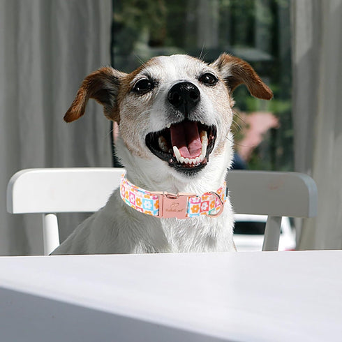 Cotton Dog Collar for Spring and Summer, Adjustable Puppy Collar with Safety Metal Buckle for Small, Medium, and Large