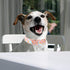 Cotton Dog Collar for Spring and Summer, Adjustable Puppy Collar with Safety Metal Buckle for Small, Medium, and Large