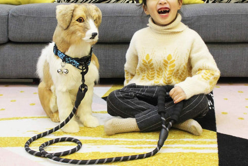 5 FT Beautifully Dog Leash with Comfortable Padded Handle and Highly Reflective Threads for Medium Large Dogs