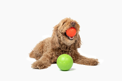 3" Jolly Pets Mini Jolly Soccer Ball; Floating-Bouncing Dog Toy; Ocean Blue