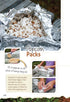 Campfire Treats by CQ Products, G & R Publishing, Spiral-bound