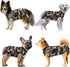 SAWMONG Recovery Suit for Dogs - Breathable Dog Onesie After Surgery, Camouflage, X-Large