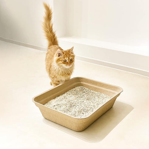 8 Pack 16.7" 13" 4" WUWEOT Disposable Cat Litter Box, Paper Cat Litter Tray Pet Litter Pan, X X Travel Small Animal