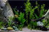 AWERT 36x24 inches Vinyl Background, Underwater Aquatic Plant Fish Tank Background, Stone River Bed & Lake