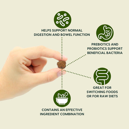 ARK NATURALS Gentle Digest Soft Chews, 120 Count, Vet Recommended Dog and Cat Prebiotics & Probiotics