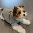 Jecikelon Winter Dog Hoodie Sweatshirts, Warm Dog Clothes for Small Dogs Chihuahua Coat, Grey, Medium