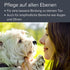 Alcott Bamboo Groom Flea Comb with 77 Rotating Pins for Pets
