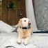 Reflective Collar Replacement Strap for Dog GPS Training Bark Receiver Collars, Heavy Duty for Small Medium Large Dogs